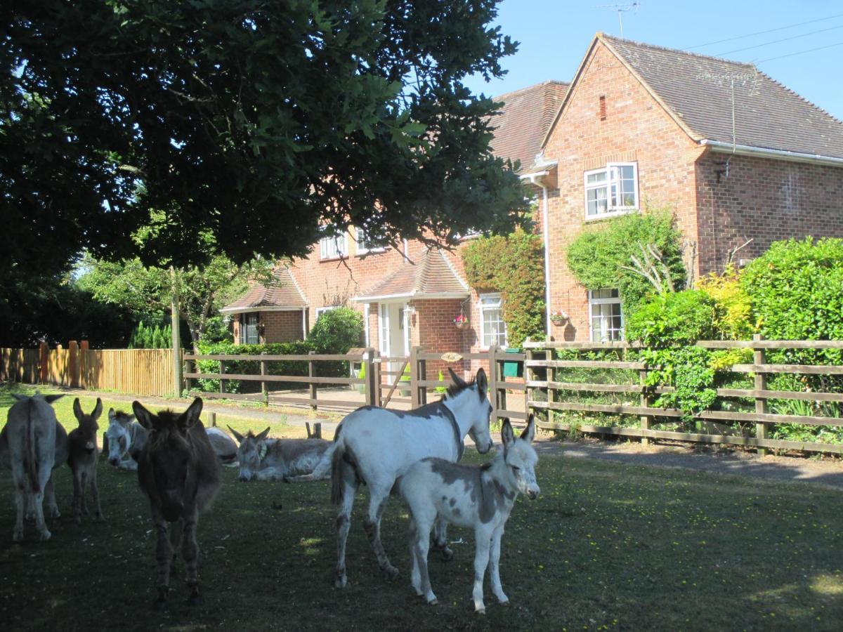 Hops Main House, Brockenhurst, New Forest Villa ภายนอก รูปภาพ