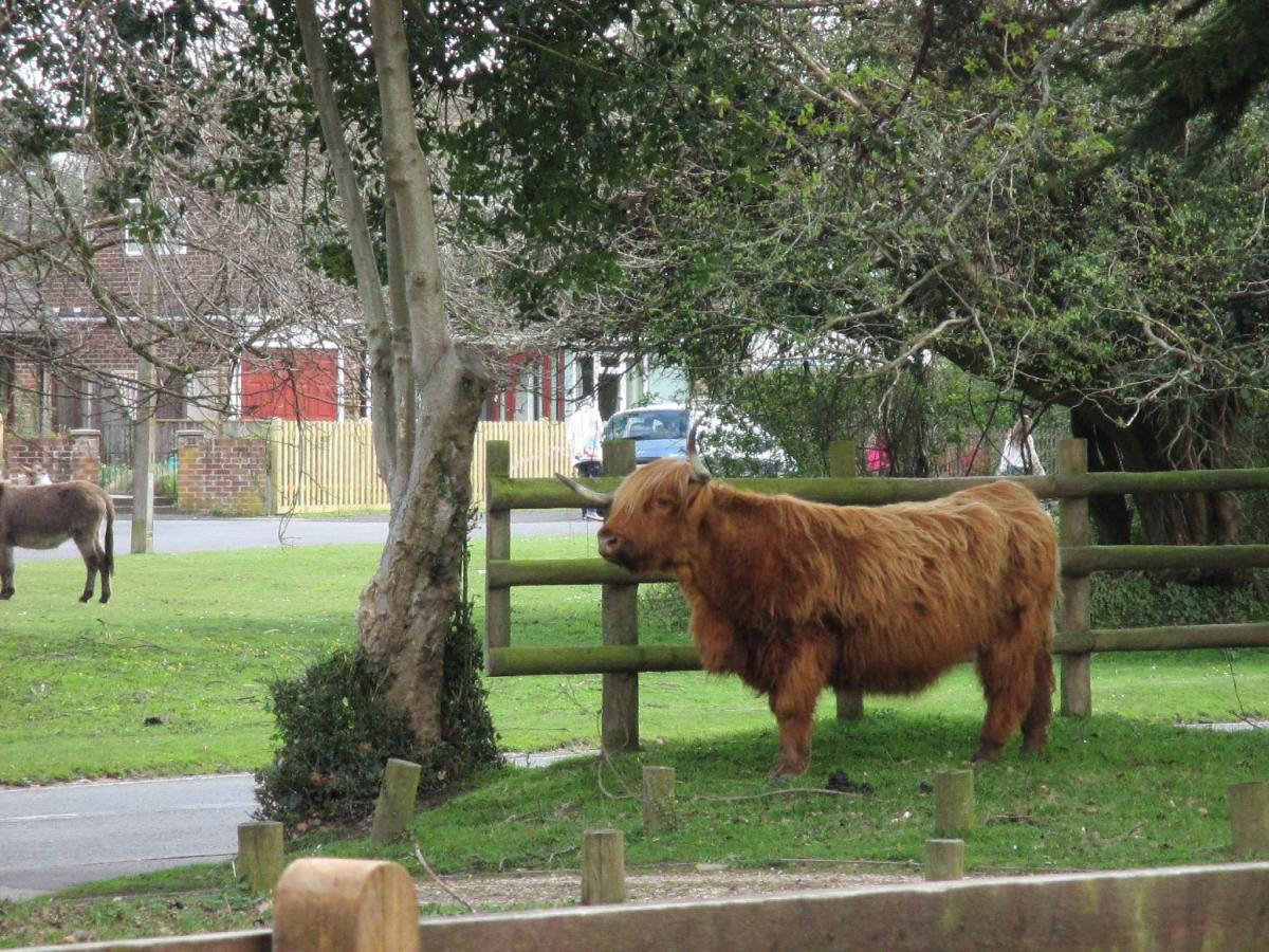 Hops Main House, Brockenhurst, New Forest Villa ภายนอก รูปภาพ