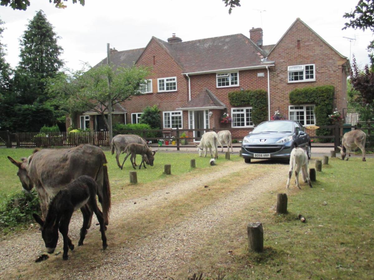 Hops Main House, Brockenhurst, New Forest Villa ภายนอก รูปภาพ